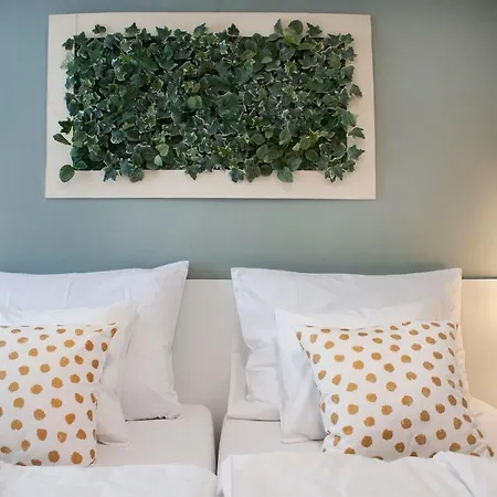 迷迷公寓 罗维尼